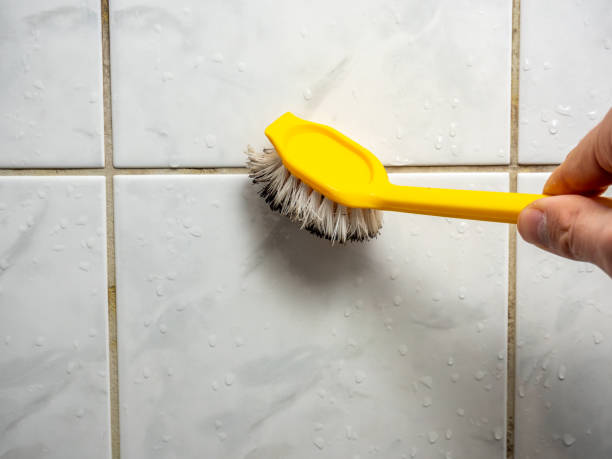 Best Toxic Mold Removal  in New Boston, TX